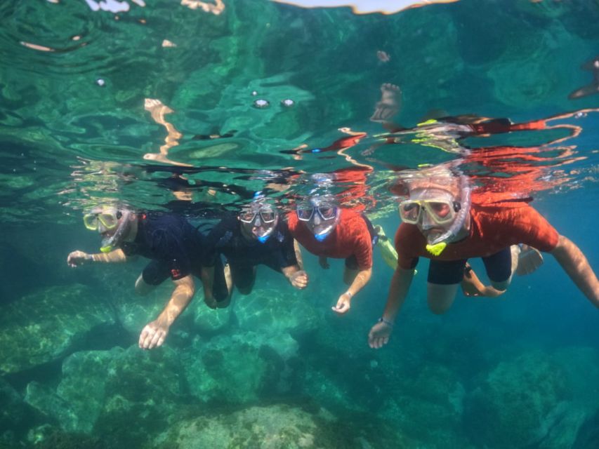 Gran Canaria: Snorkel tour with boat on the west coast - Why a West Coast Snorkel on Gran Canaria Feels Different