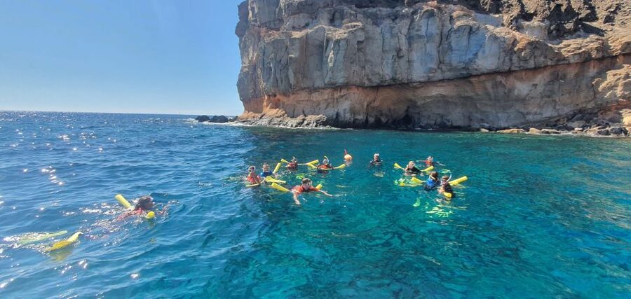 Gran Canaria: Snorkel tour with boat on the west coast - Group Size and Guide Languages: What to Expect From Communication