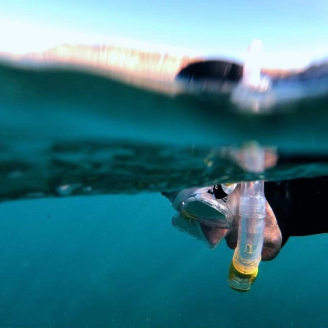 Gran Canaria: Snorkeling Trip - Snorkeling from Puerto Rico de Gran Canaria, without the guesswork
