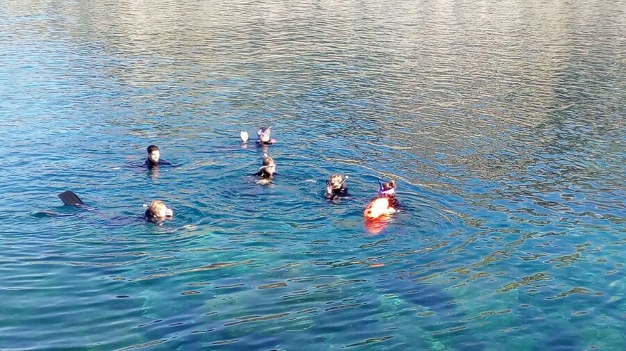 Gran Canaria: Snorkeling Trip - Gear setup and coaching, where most of the magic happens