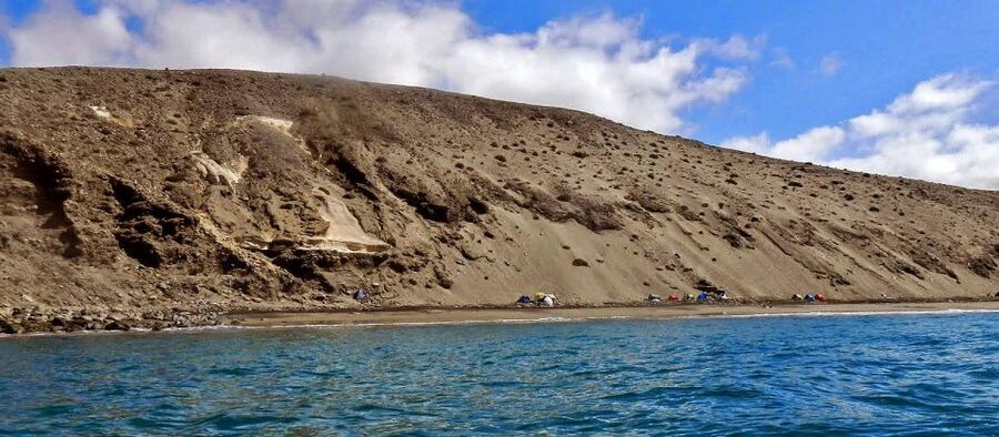 Gran Canaria: South Coast Guided Kayaking Trip - The $71 price: what you are really paying for (and how to judge value)