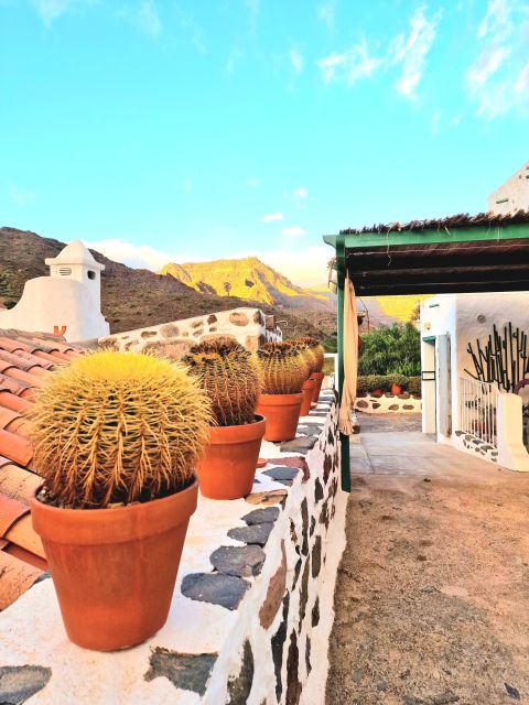 Gran Canaria: Spanish Tapas and Wine Tasting Tour in Mogan - Wine Tasting That Has a Human Explanation
