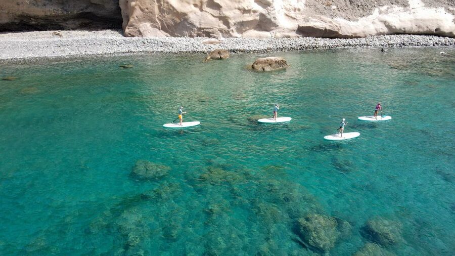 Gran Canaria : Stand Up Paddle (SUP) Tour - Wildlife Moments: Sea Turtles and Flying Fish, With Calm Expectations