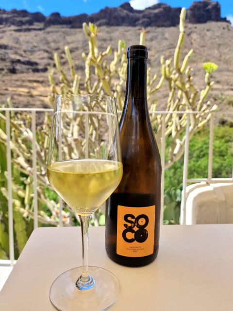 Gran Canaria: tasting wine & local cheese - Tips so you get your best hour (and not just good flavors)