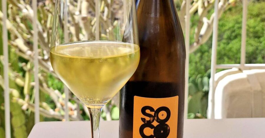 Gran Canaria: tasting wine & local cheese - How the sommelier guides your tasting of three Spanish wines
