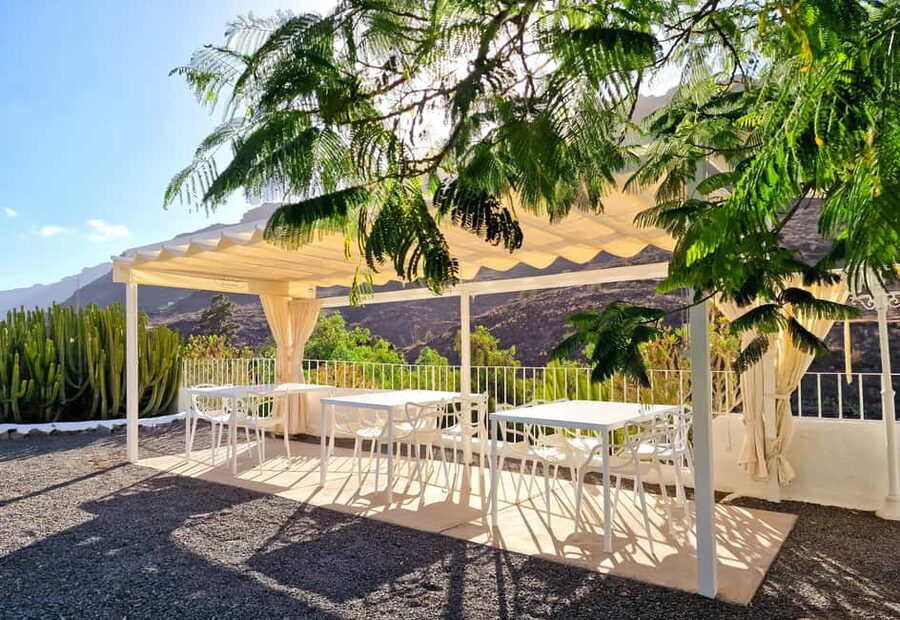 Gran Canaria: tasting wine & local cheese - Canarian cheese tasting: high quality, then real pairing logic