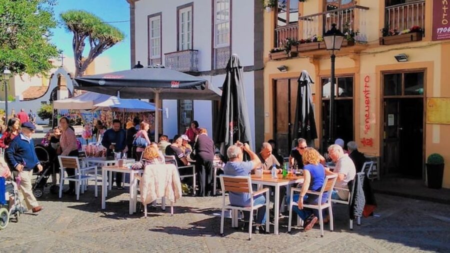 Gran Canaria Tour: Past and Present - Price and Logistics: Good Value, With One Big Catch