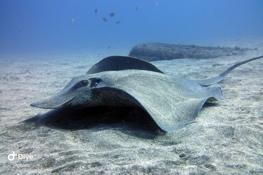Gran Canaria: Try Scuba Diving for Beginners - What to bring, and what to leave at home