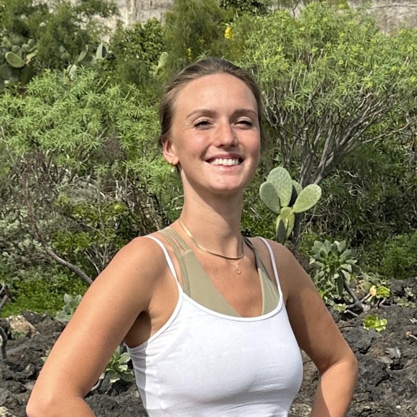 Gran Canaria: Volcano Sunset Tour and Local Food Tasting - Key things to love about this Gran Canaria volcano day
