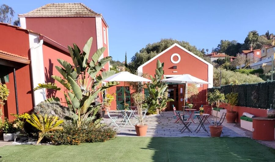 Gran Canaria: Winery Tour, Wine Museum, and Tasting - Cellar smells and wooden casks, why you should pay attention