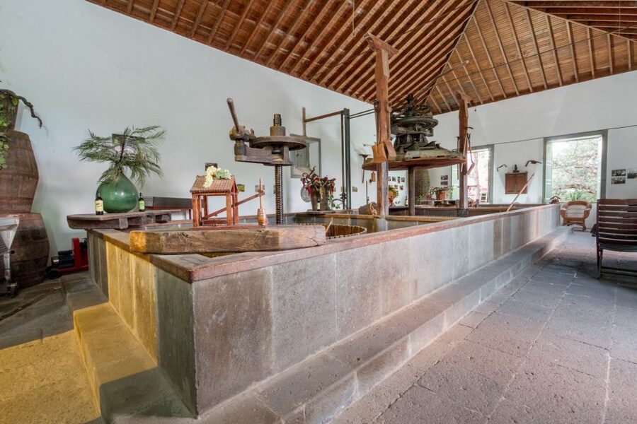 Gran Canaria: Winery Tour, Wine Museum, and Tasting - Price and value: $34 for 1.5 hours, what you really get