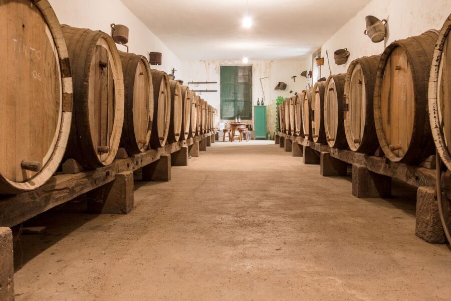 Gran Canaria: Winery Tour, Wine Museum, and Tasting - Guide factor: Maria’s role in what feels personal versus scripted