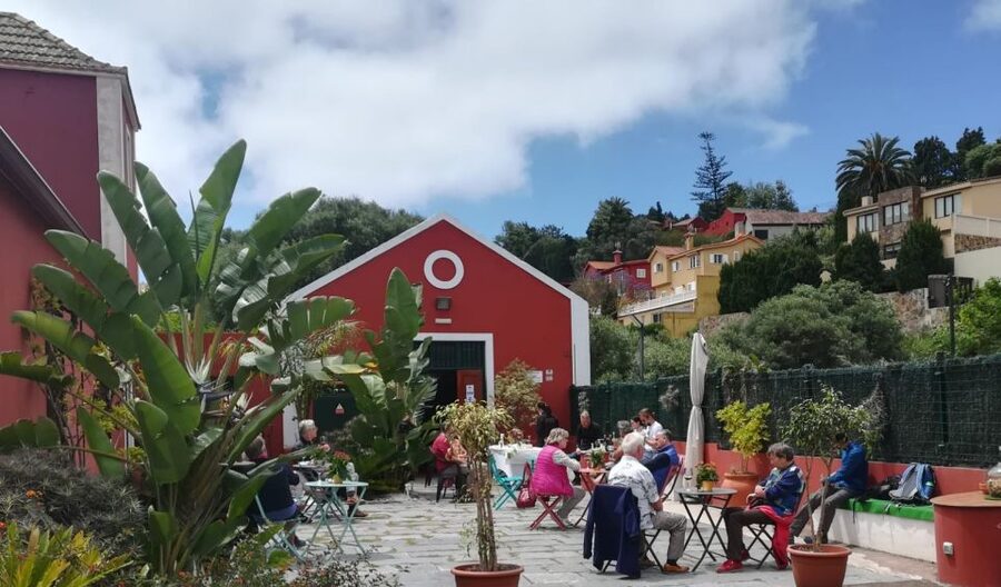 Gran Canaria: Winery Tour, Wine Museum, and Tasting - Timing, weather, and how to plan your Gran Canaria afternoon