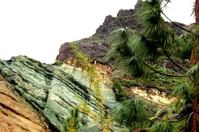 Grand Tour in Gran Canaria - Valle de Agaete coffee plantation: tasting your way through the island’s flavors