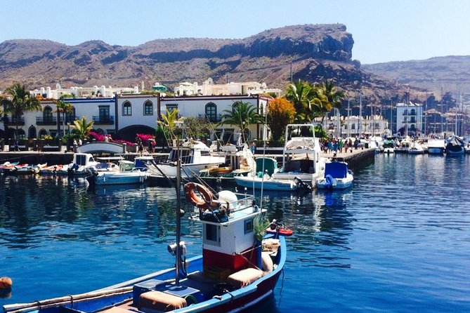 Grand Tour in Gran Canaria - Price and value: is $54.41 worth a guided 9-hour day?