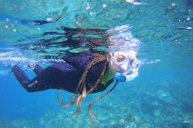 Guided Snorkelling Experience in South of Gran Canaria - Key Things I’d Plan Around