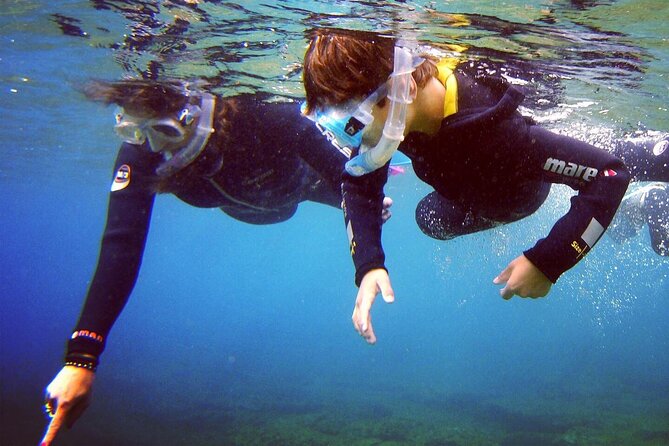 Guided Snorkelling Experience in South of Gran Canaria - Why Morning Shore Snorkeling from Playa de Amadores Feels Easy