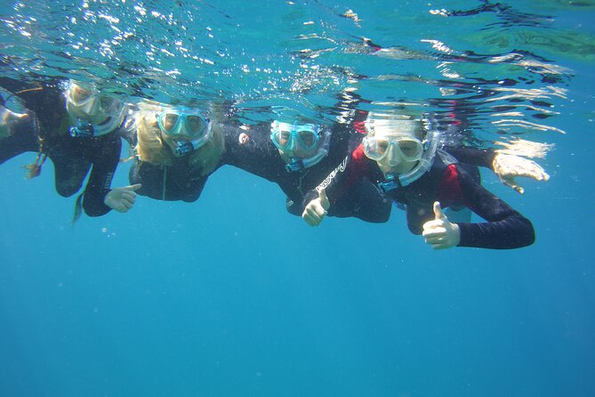 Guided Snorkelling Experience in South of Gran Canaria - Meet at Playa de Amadores, Then Get Your Safety Briefing First