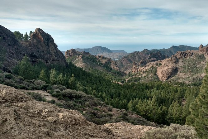 Guided tour: Discover Gran Canaria - Gran Canaria in One Big Day: The 8.5-Hour Coach Experience
