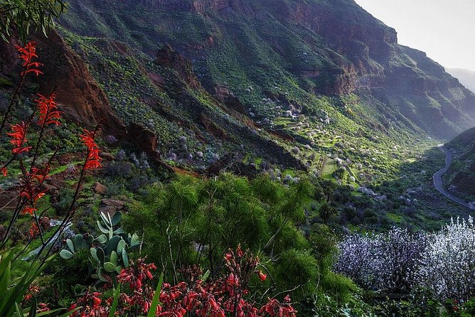 Guided tour: Discover Gran Canaria - Teror Stop: Pilgrimage Village Views, Canarian Balconies, and the Basilica