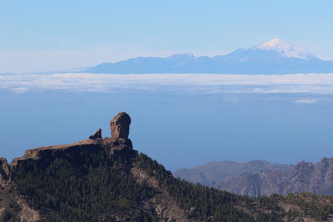 Guided tour: Discover Gran Canaria - San Bartolomé de Tirajana Area: Almond Trees, Fataga Villages, and Roadside Scenery
