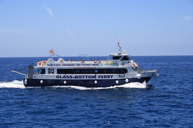 Half-Day Cruise Tour-Dolphin and Whale Watching - Crew and Safety: How the Ride Stays Calm on a Wobbly Sea