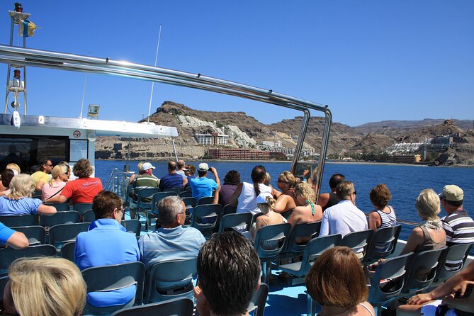 Half-Day Cruise Tour-Dolphin and Whale Watching - When This Tour Fits Best (and When It Might Not)