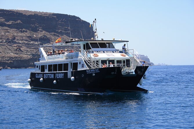 Half-Day Cruise Tour-Dolphin and Whale Watching - Should You Book This Half-Day Dolphin and Whale Cruise?