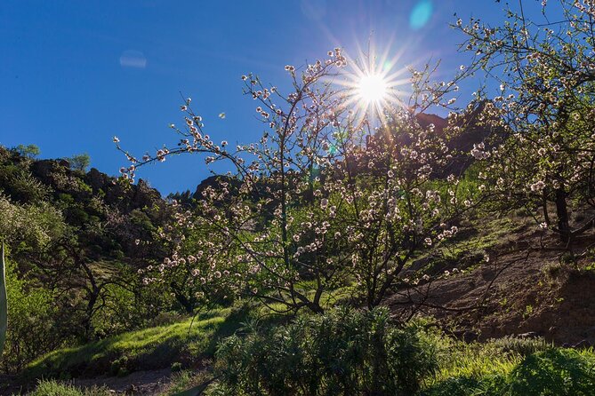 Hikes Roque Nublo - Key highlights to know before you go