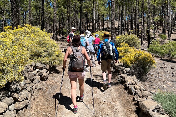 Hikes Roque Nublo - Walking the route: El Aserrador pass to Roque Nublo