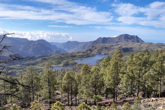 Hiking experience in the north of Gran Canaria - North Gran Canaria Hiking, Made Practical: What You Are Really Buying