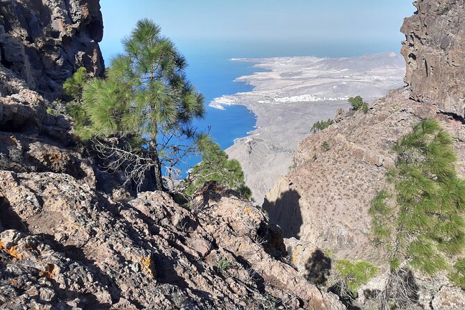 Hiking experience in the north of Gran Canaria - The Morning Start in the Maspalomas Area