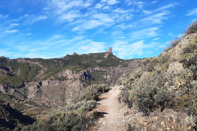 Hiking experience in the north of Gran Canaria - The Hike Itself: Flora, Fauna, and a Route Built for the Day