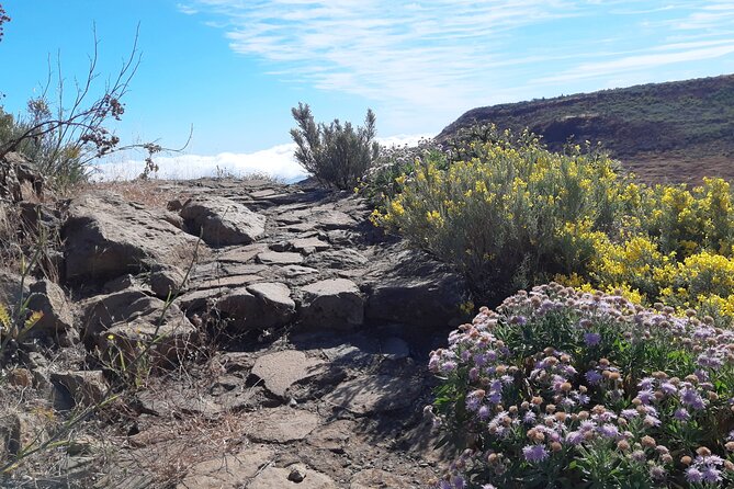 Hiking experience in the north of Gran Canaria - What to Wear and Bring for North Gran Canaria