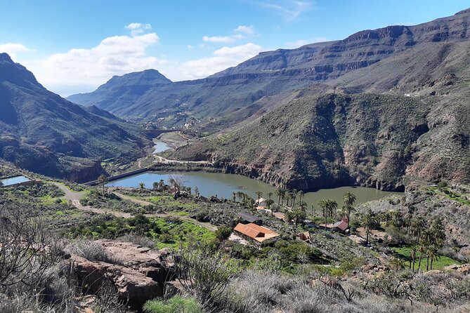 Hiking experience in the north of Gran Canaria - Group Size and Pacing: A Day You Can Ask Questions On