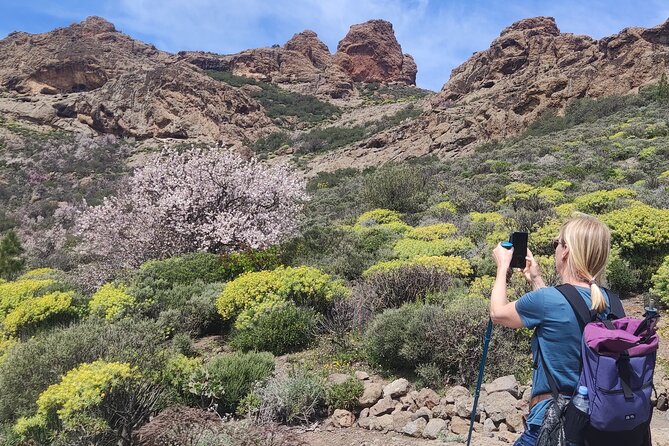 Hiking in the Sacred Mountains of Gran Canaria: UNESCO - Why La Caldera de Tejeda is worth a UNESCO-style mountain hike