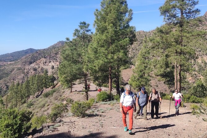 Hiking in the Sacred Mountains of Gran Canaria: UNESCO - Stop 3: Mesa de Acusa, a strong ending stop