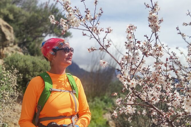 Hiking in the Sacred Mountains of Gran Canaria: UNESCO - The 9:00 am start, pickup, and small-group pace that feels human