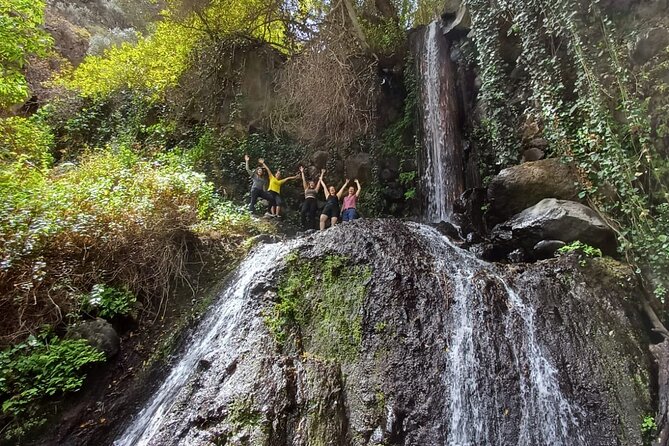 Hiking in Waterfalls & Rainforest with local guides: Sky Rebels - Price and value: what $98.52 buys you on this half-day