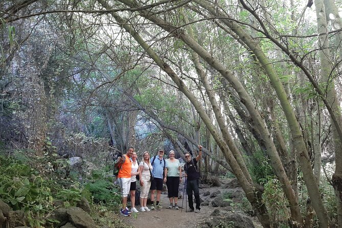 Hiking in Waterfalls & Rainforest with local guides: Sky Rebels - Barranco De Los Cernicalos hike: 8 to 9 km, 300 m unevenness, waterfall payoff