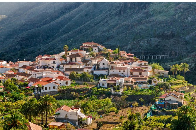 Jeep Tour 4x4 in Gran Canaria - Stop 3, Fataga: The Ravine of 1,000 Palms and Village Atmosphere