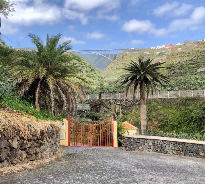 La Palma: North Island Bus Tour with Ron Aldea Distillery - Why the North of La Palma works in one 8-hour bus loop