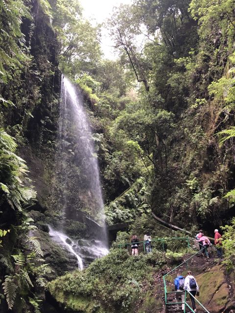 La Palma: North Island Bus Tour with Ron Aldea Distillery - Mirador de la Montaña, mountains to sea in one big pause