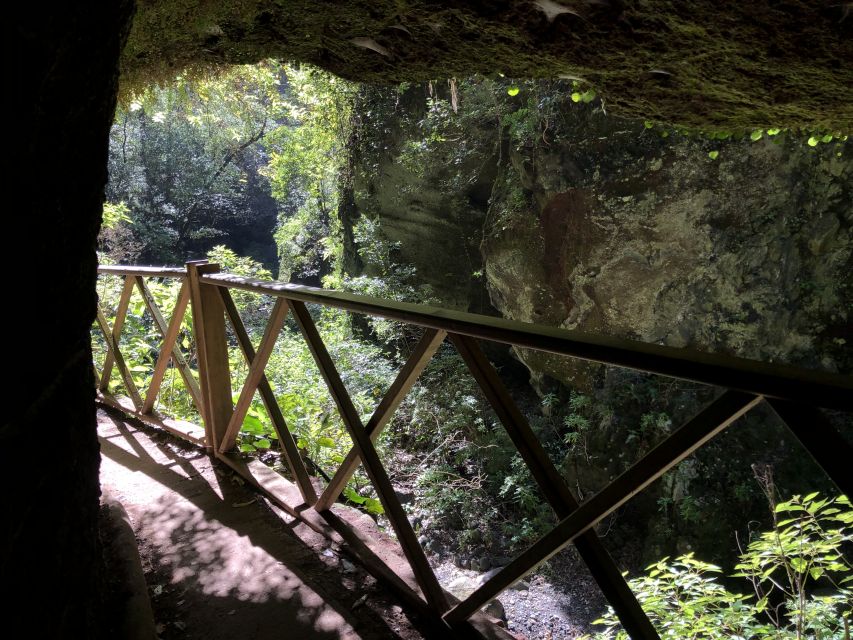 La Palma: North Island Bus Tour with Ron Aldea Distillery - Cubo de la Galga, a laurel forest walk that feels like a reset