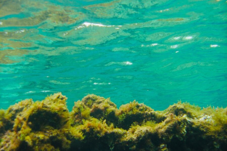 Las Canteras Scuba Diving - What you’ll do before you even get wet