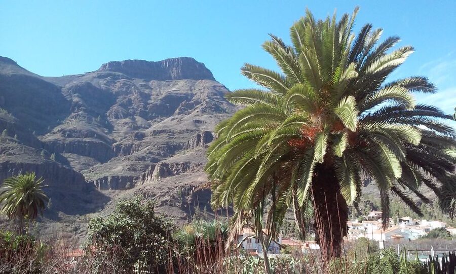 Las Palmas: 8-Hour Gran Canaria Island Highlights Tour - North-to-South Gran Canaria in One 8.5-Hour Pass