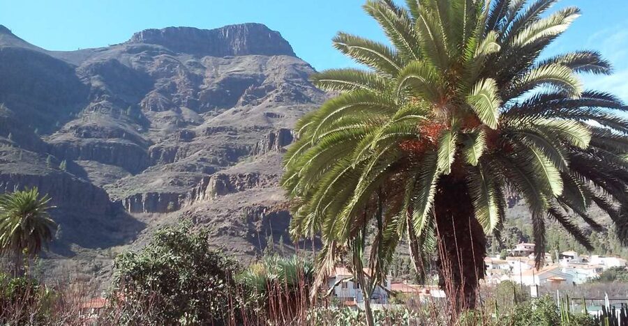 Las Palmas: 8-Hour Gran Canaria Island Highlights Tour - Santa Brígida: A Historical Centre in Mountain Territory