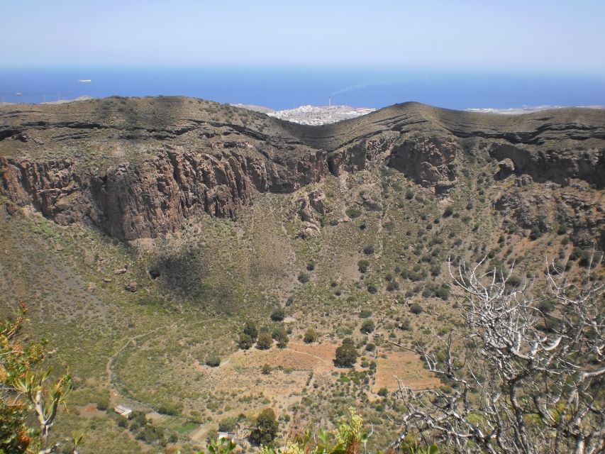 Las Palmas: 8-Hour Gran Canaria Island Highlights Tour - Pico de las Nieves: Highest Peak, Often With Tenerife in Sight