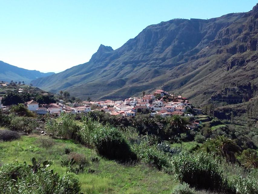 Las Palmas: 8-Hour Gran Canaria Island Highlights Tour - The Coach Ride Reality, Timing, and Mountain Road Tips