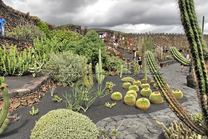 Las Palmas, Botanical Garden & Bandama Crater tour - Gran Canaria - Pickup and drop-off: easy if you stay in the right zone